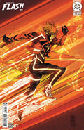 Absolute Flash #19 Cover B Denys Cowan Variant