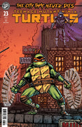 Teenage Mutant Ninja Turtles #23 Cover B Ben Bishop Variant