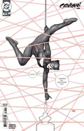 Catwoman #88 Cover B Frank Cho Variant