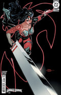 Absolute Wonder Woman #19 Cover D Terry Dodson Variant